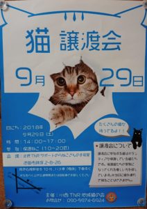 9/29のネコ譲渡会のポスターです